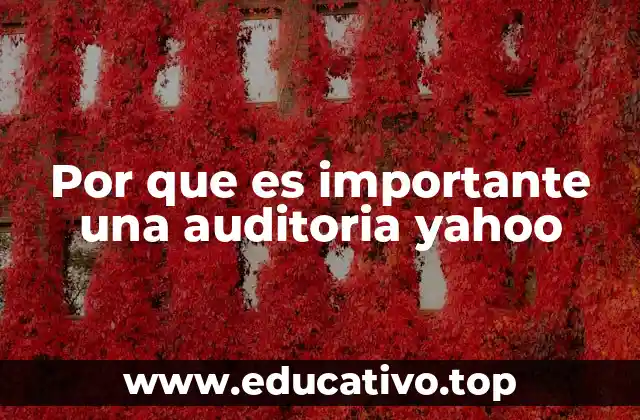 Por que es importante una auditoria yahoo
