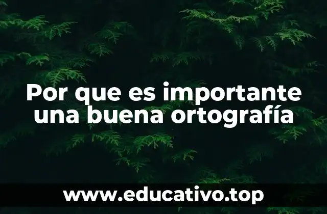 Por que es importante una buena ortografía