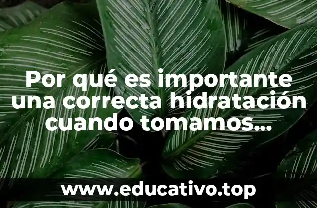 La relación entre la hidratación y la efectividad de los suplementos
