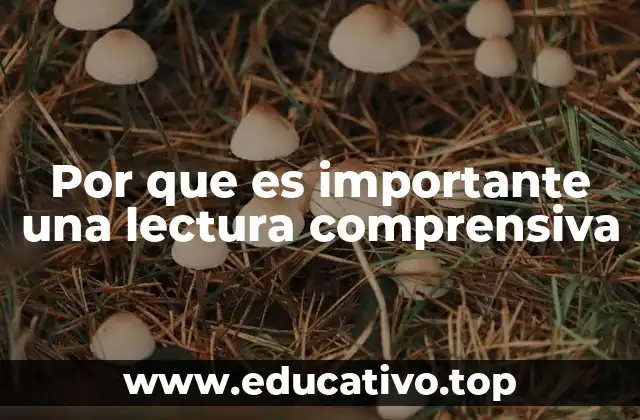 Cómo la lectura comprensiva impacta el desarrollo cognitivo