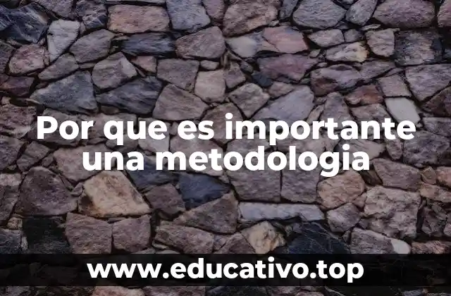 Por que es importante una metodologia