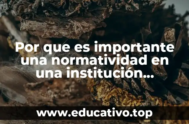 Por que es importante una normatividad en una institución educativa