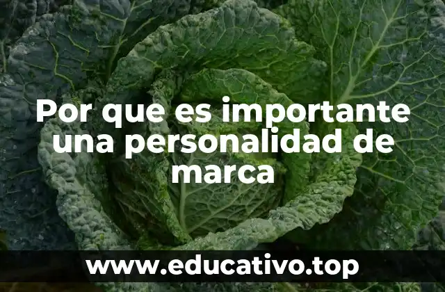 Cómo la personalidad de marca influye en la identidad corporativa