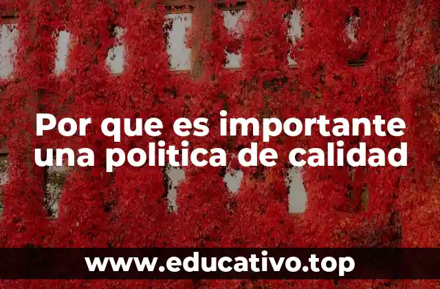 Por que es importante una politica de calidad
