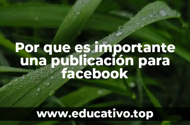 Por que es importante una publicación para facebook