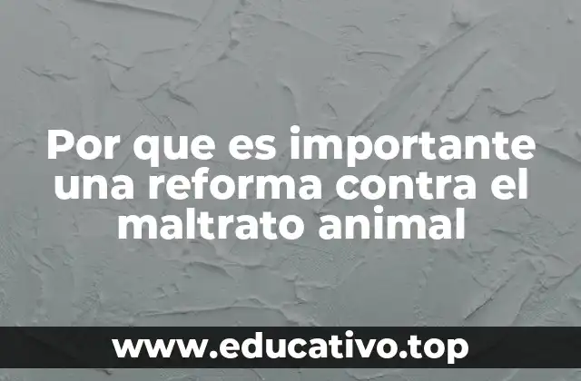 Por que es importante una reforma contra el maltrato animal