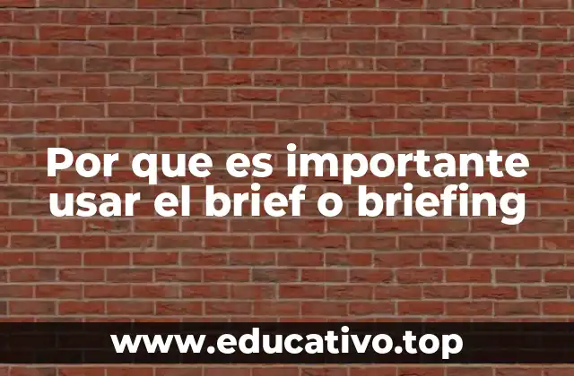 Por que es importante usar el brief o briefing