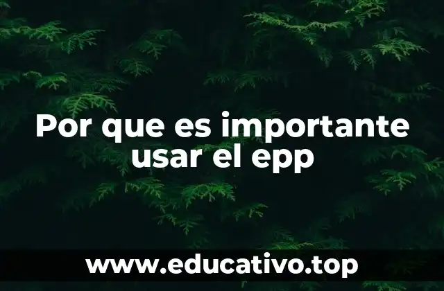 Por que es importante usar el epp