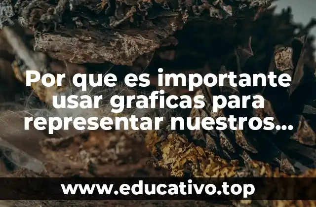 Por que es importante usar graficas para representar nuestros datos