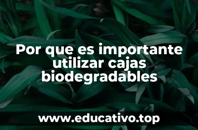 Por que es importante utilizar cajas biodegradables