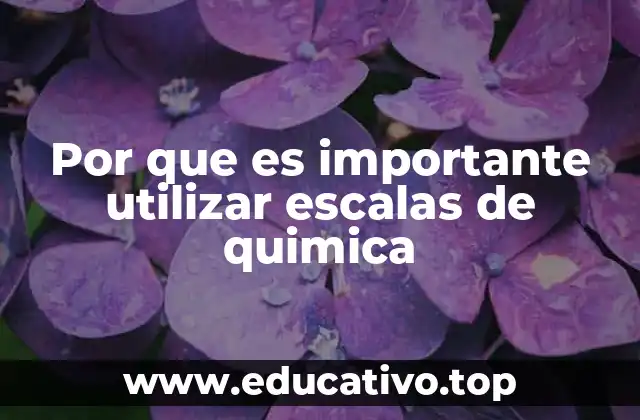Por que es importante utilizar escalas de quimica