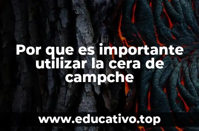 Por que es importante utilizar la cera de campche