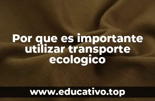 La transición hacia un sistema de transporte sostenible