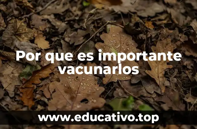 Por que es importante vacunarlos