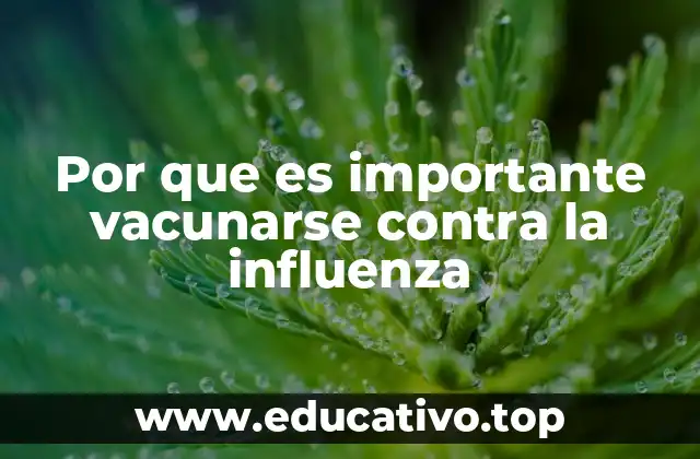 Por que es importante vacunarse contra la influenza