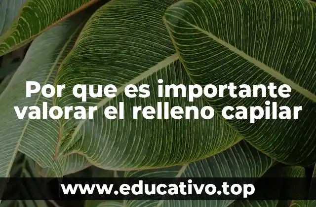 Por que es importante valorar el relleno capilar