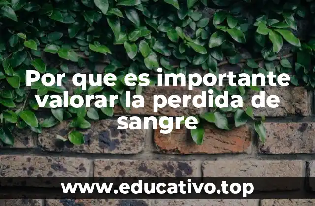 Por que es importante valorar la perdida de sangre