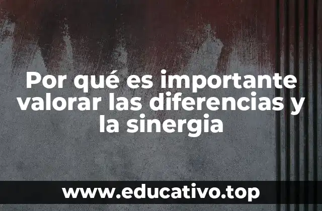 Por qué es importante valorar las diferencias y la sinergia