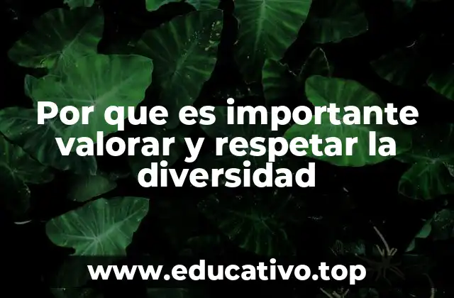 Por que es importante valorar y respetar la diversidad