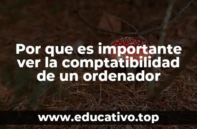 Por que es importante ver la comptatibilidad de un ordenador