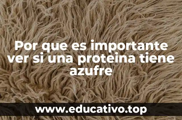 Por que es importante ver si una proteina tiene azufre