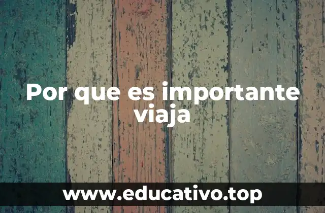 Por que es importante viaja