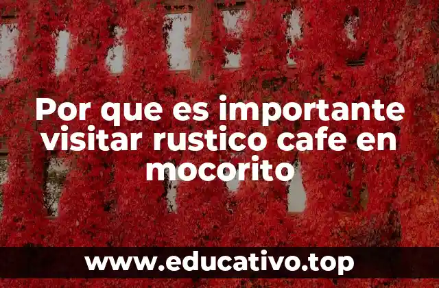 Por que es importante visitar rustico cafe en mocorito