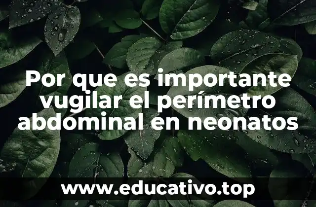 Por que es importante vugilar el perímetro abdominal en neonatos