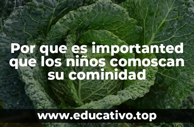 Por que es importanted que los niños comoscan su cominidad