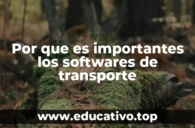 Por que es importantes los softwares de transporte