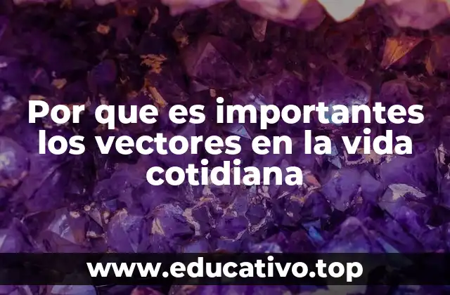 Por que es importantes los vectores en la vida cotidiana