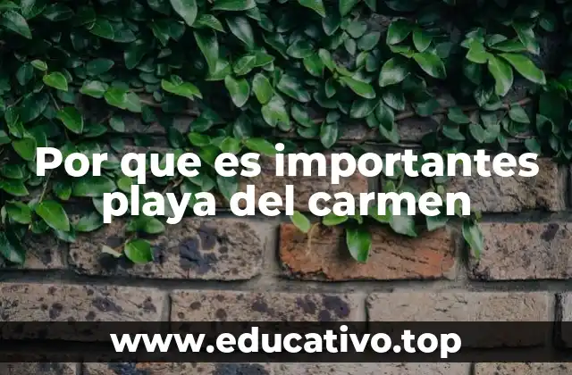 Por que es importantes playa del carmen