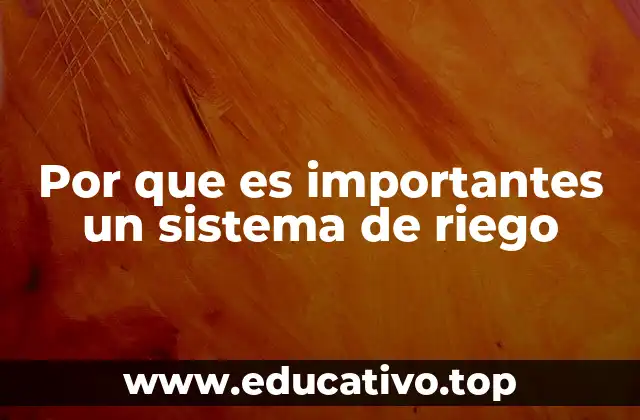 Por que es importantes un sistema de riego