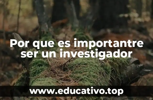 Por que es importantre ser un investigador