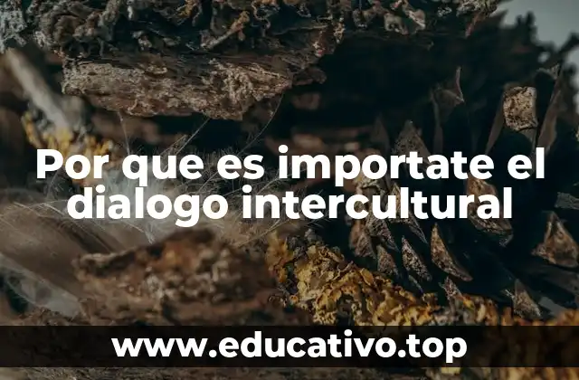 Por que es importate el dialogo intercultural