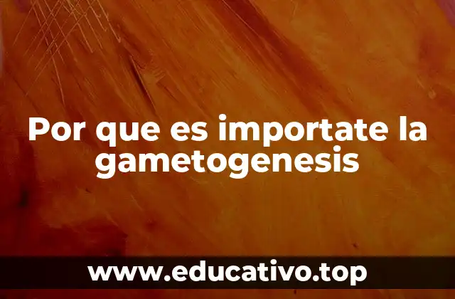 Por que es importate la gametogenesis