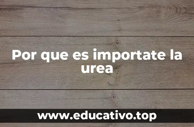 Por que es importate la urea