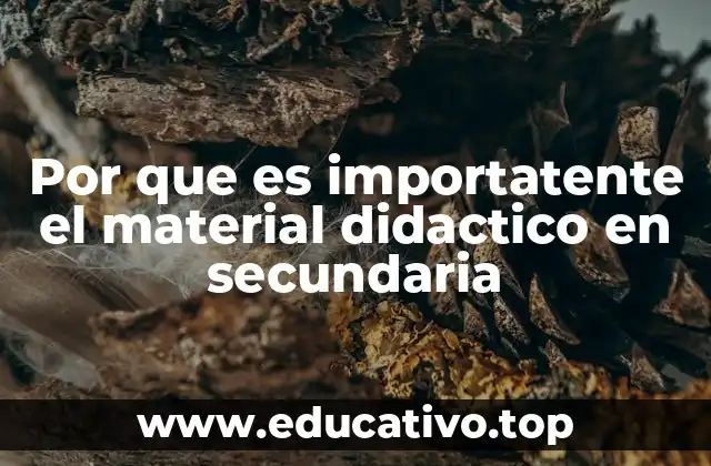 Por que es importatente el material didactico en secundaria