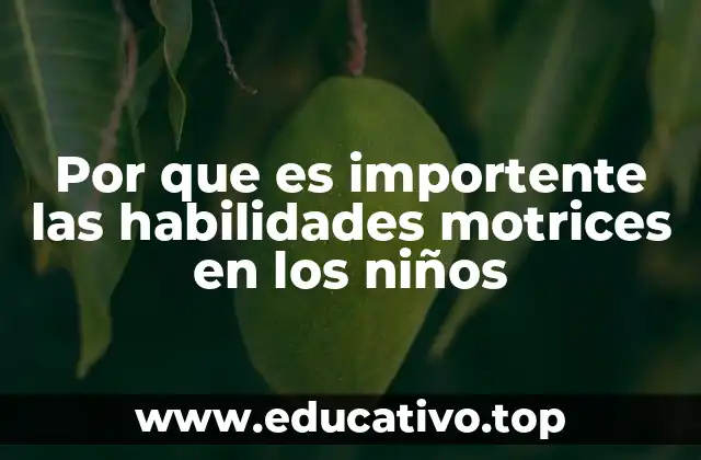 Por que es importente las habilidades motrices en los niños
