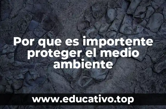 Por que es importente proteger el medio ambiente