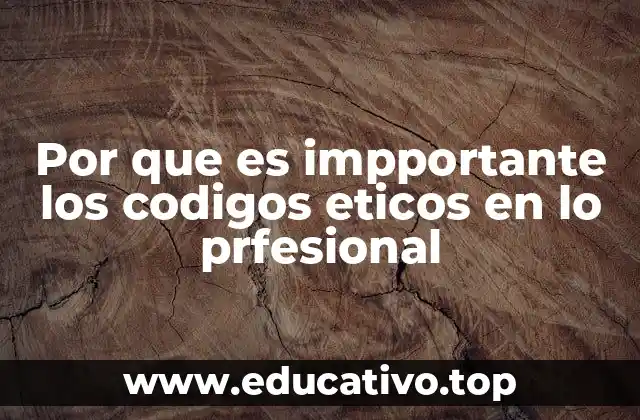 Por que es impportante los codigos eticos en lo prfesional