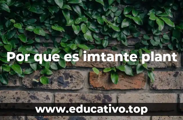 El impacto ecológico y social del cultivo de plantas