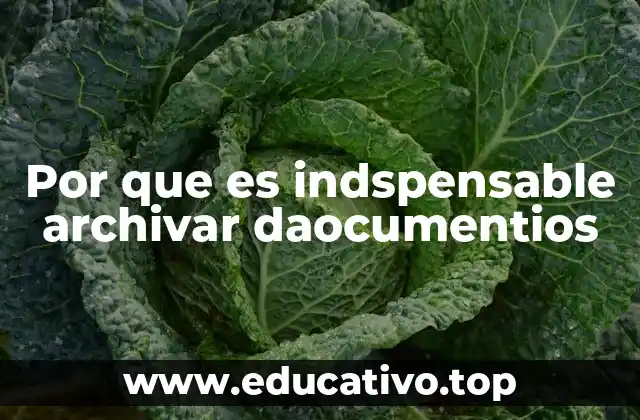 Por que es indspensable archivar daocumentios