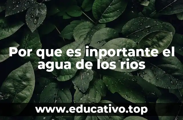 Por que es inportante el agua de los rios