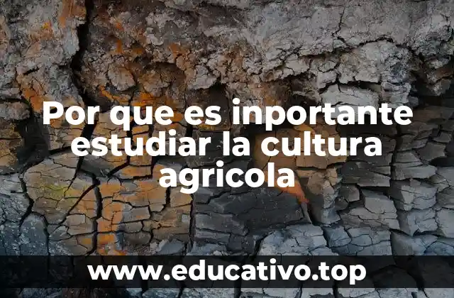 Por que es inportante estudiar la cultura agricola