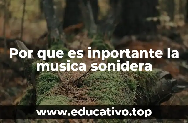 Por que es inportante la musica sonidera