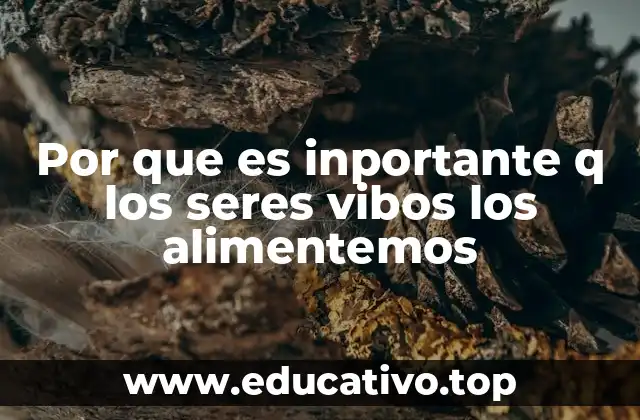 La relación entre la nutrición y la salud de los organismos