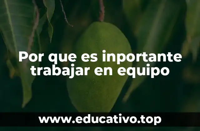 Por que es inportante trabajar en equipo