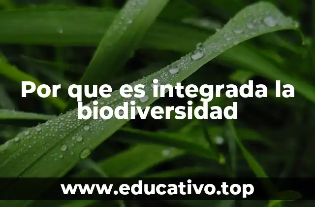 Por que es integrada la biodiversidad