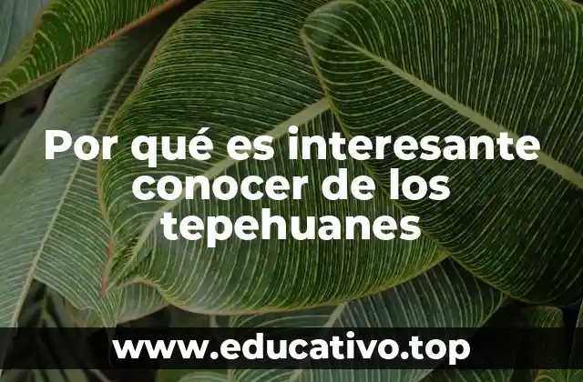 Por qué es interesante conocer de los tepehuanes
